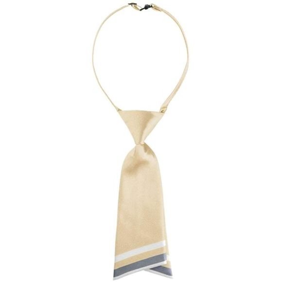 PRE-TIED Bowtie for Women Uniform Necktie Adjustable Strap Striped